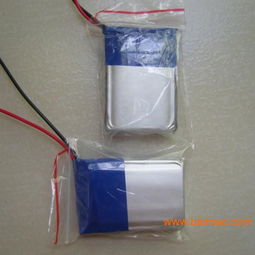 聚合物锂电池 车载充电机的理想伙伴——从生产厂家到价格解析